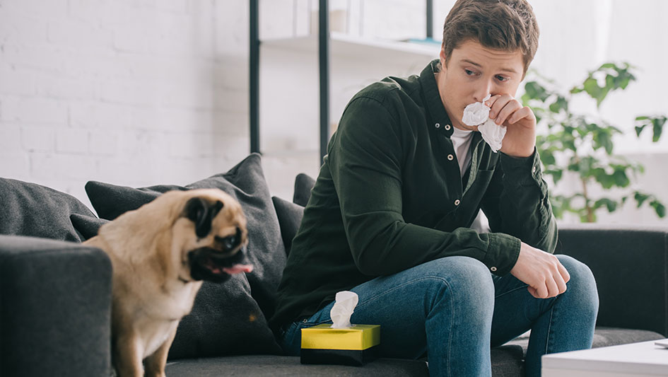 Getting an air purifier is one of the top ways to improve your residence’s indoor air quality. Discover more about the three smartest options. 