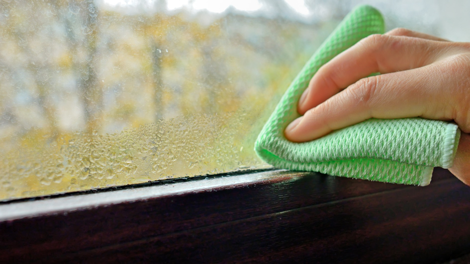 Why Windows Sweat Indoors and How to Fix It